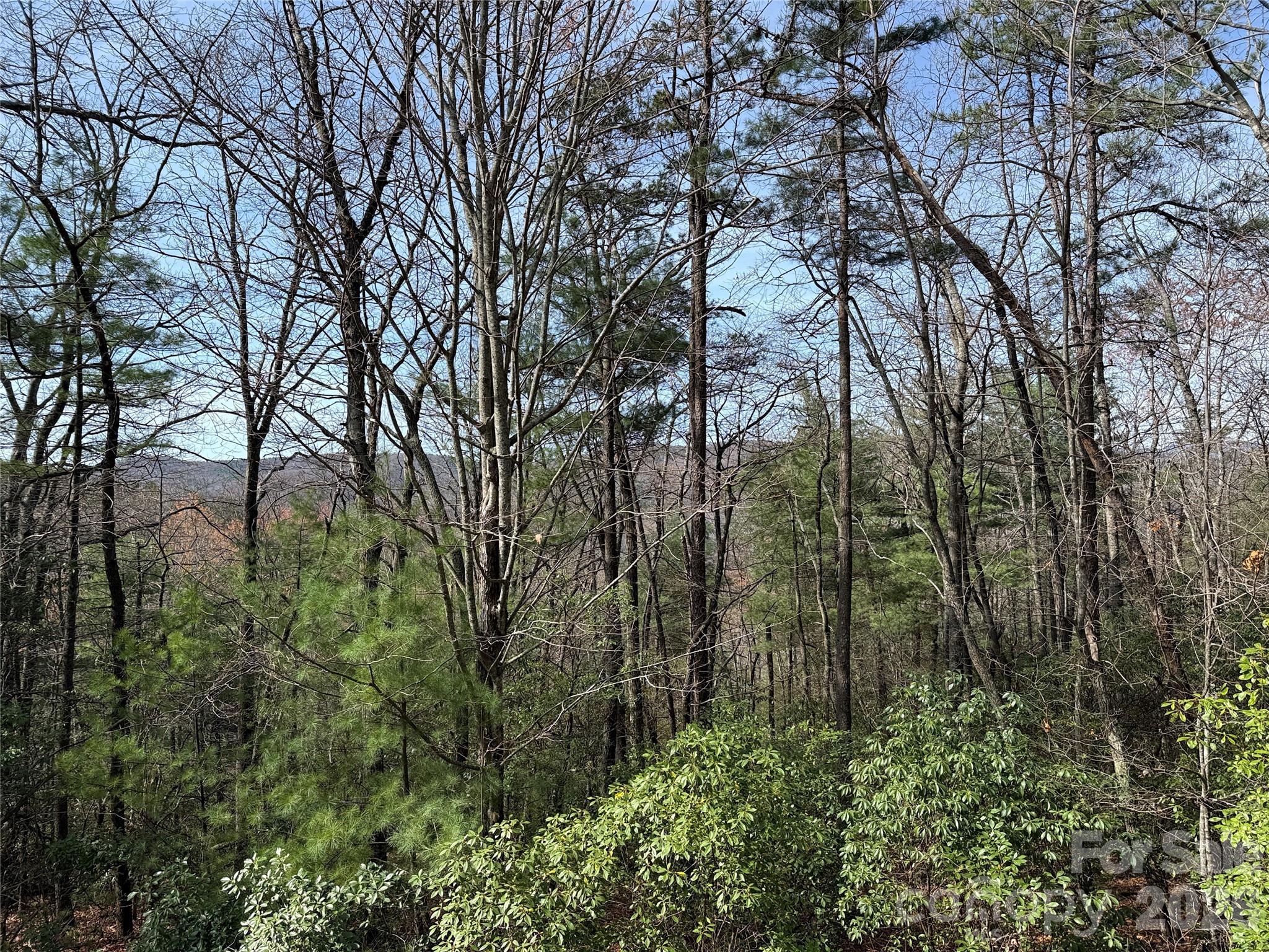 Tbd Casey Mountain Road Purlear NC 28665
