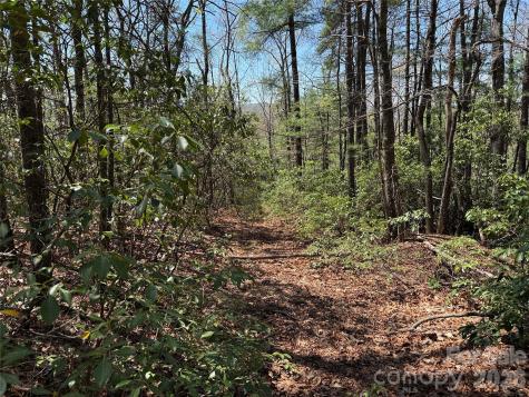 Tbd Casey Mountain Road Purlear NC 28665