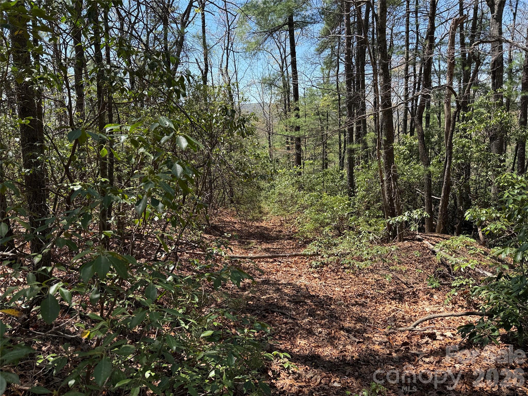 Tbd Casey Mountain Road Purlear NC 28665