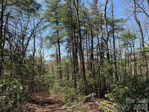 Tbd Casey Mountain Road Purlear NC 28665