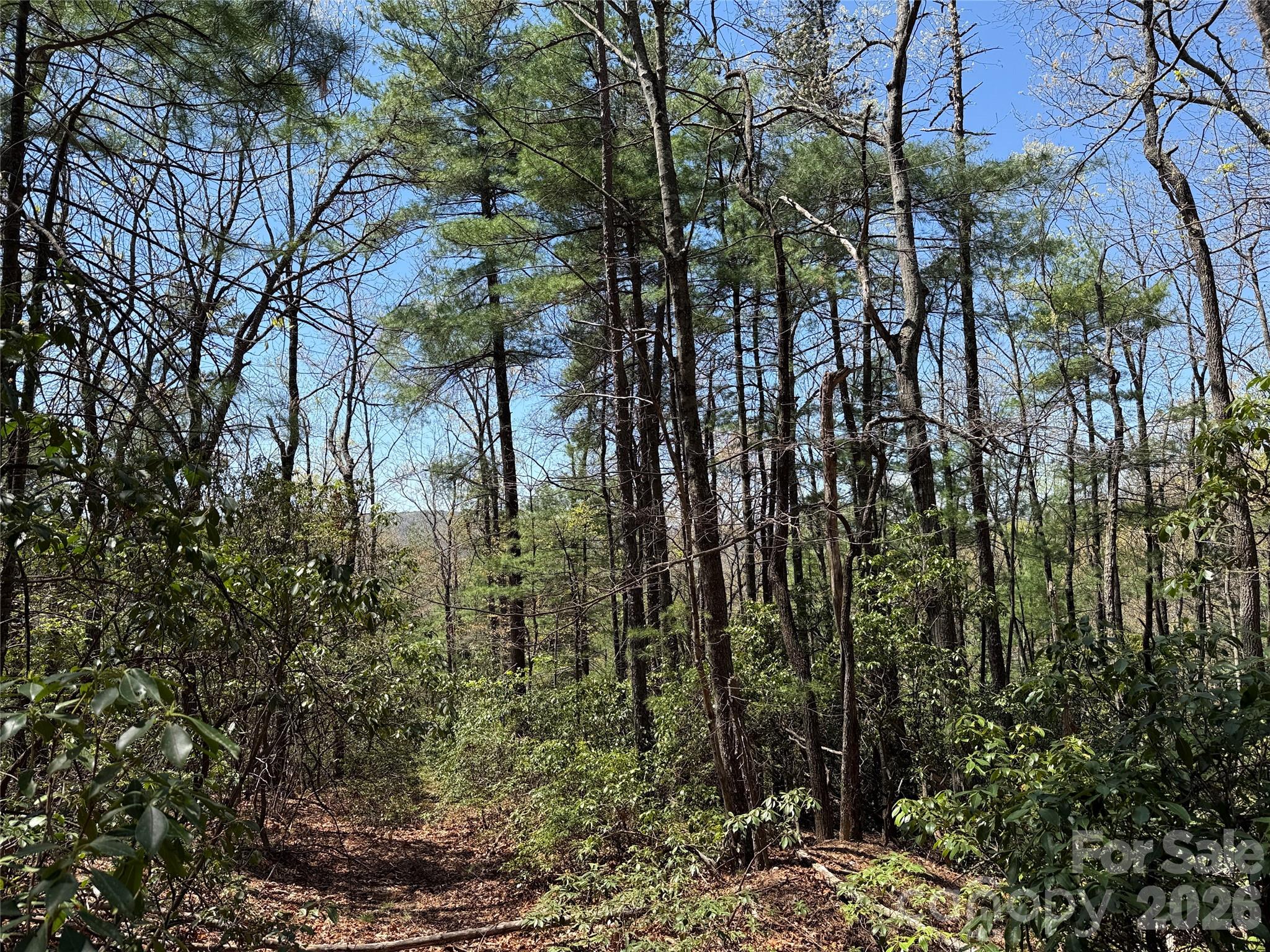 Tbd Casey Mountain Road Purlear NC 28665