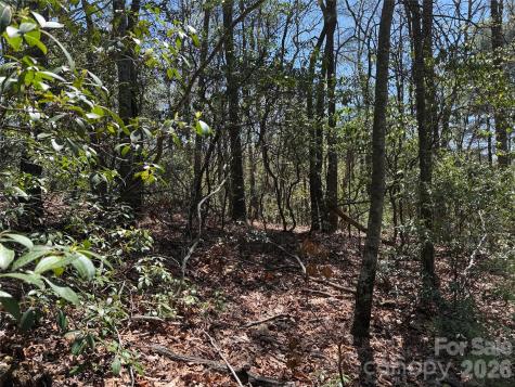 Tbd Casey Mountain Road Purlear NC 28665
