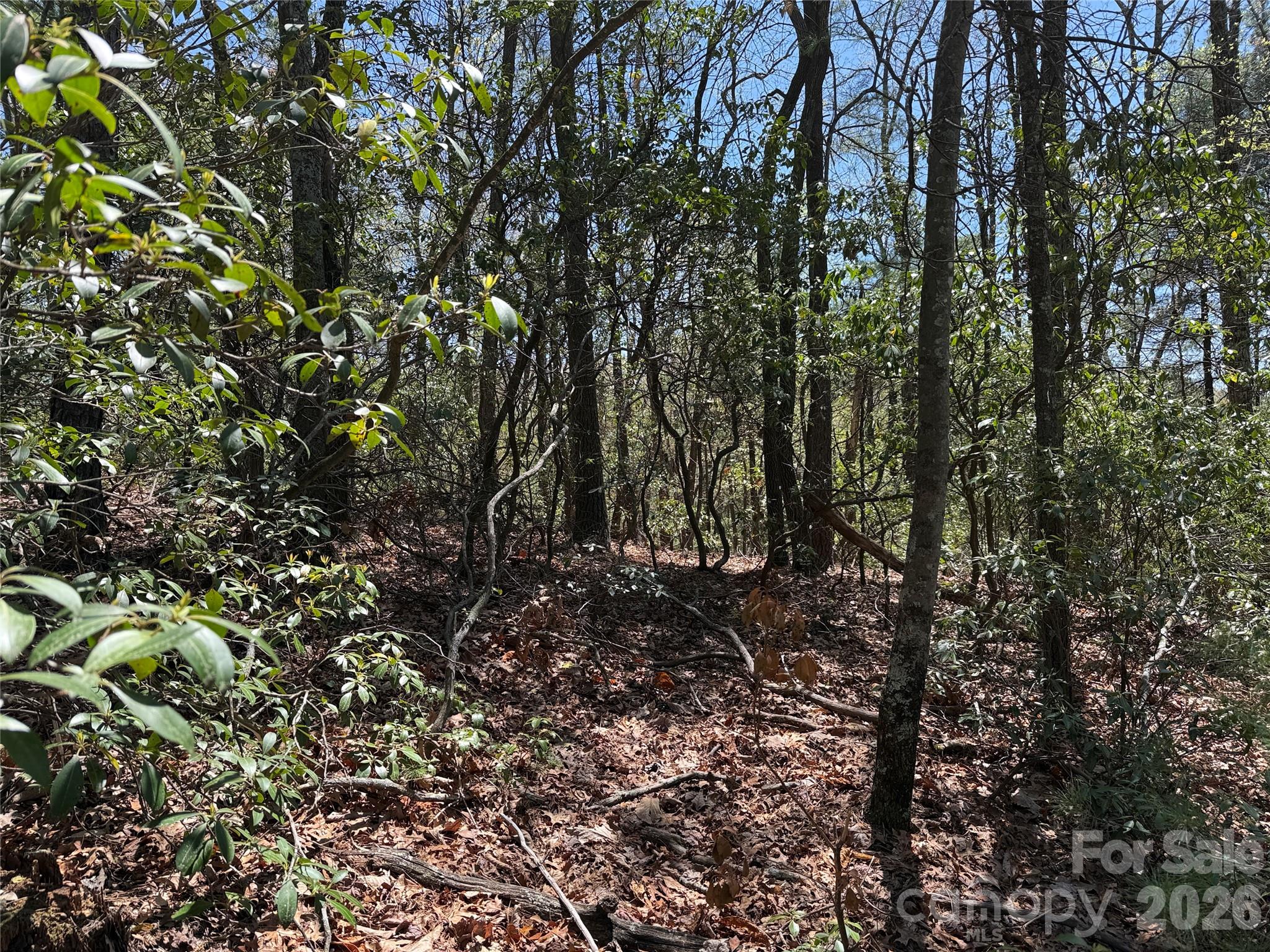 Tbd Casey Mountain Road Purlear NC 28665