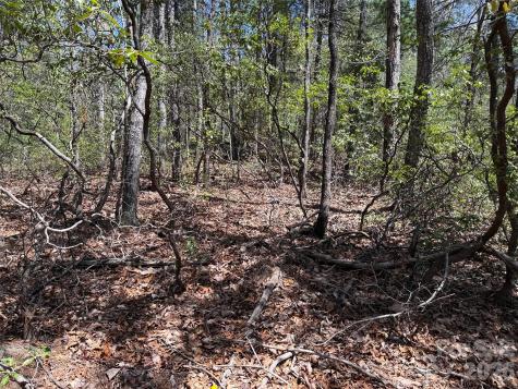 Tbd Casey Mountain Road Purlear NC 28665