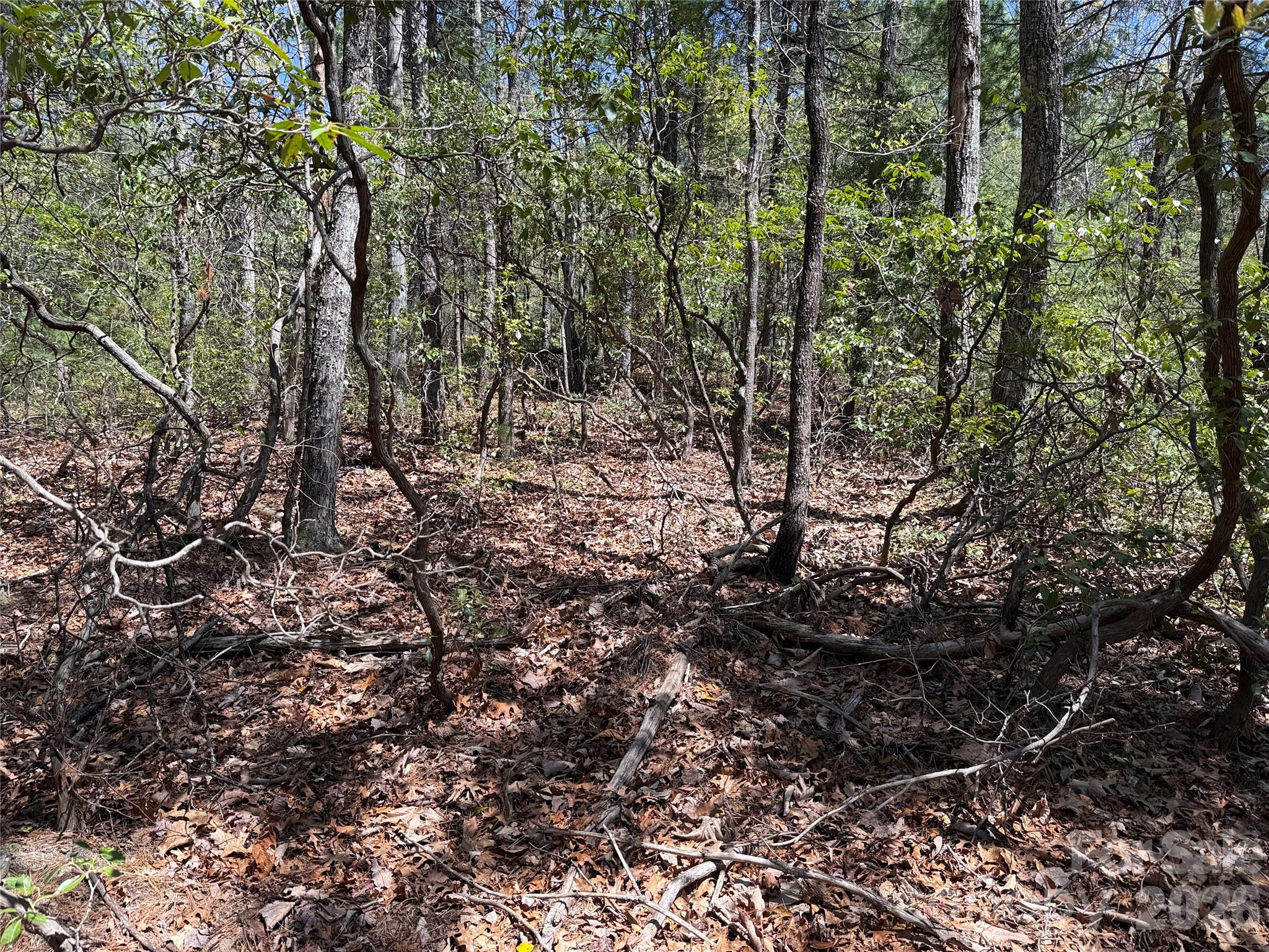 Tbd Casey Mountain Road Purlear NC 28665