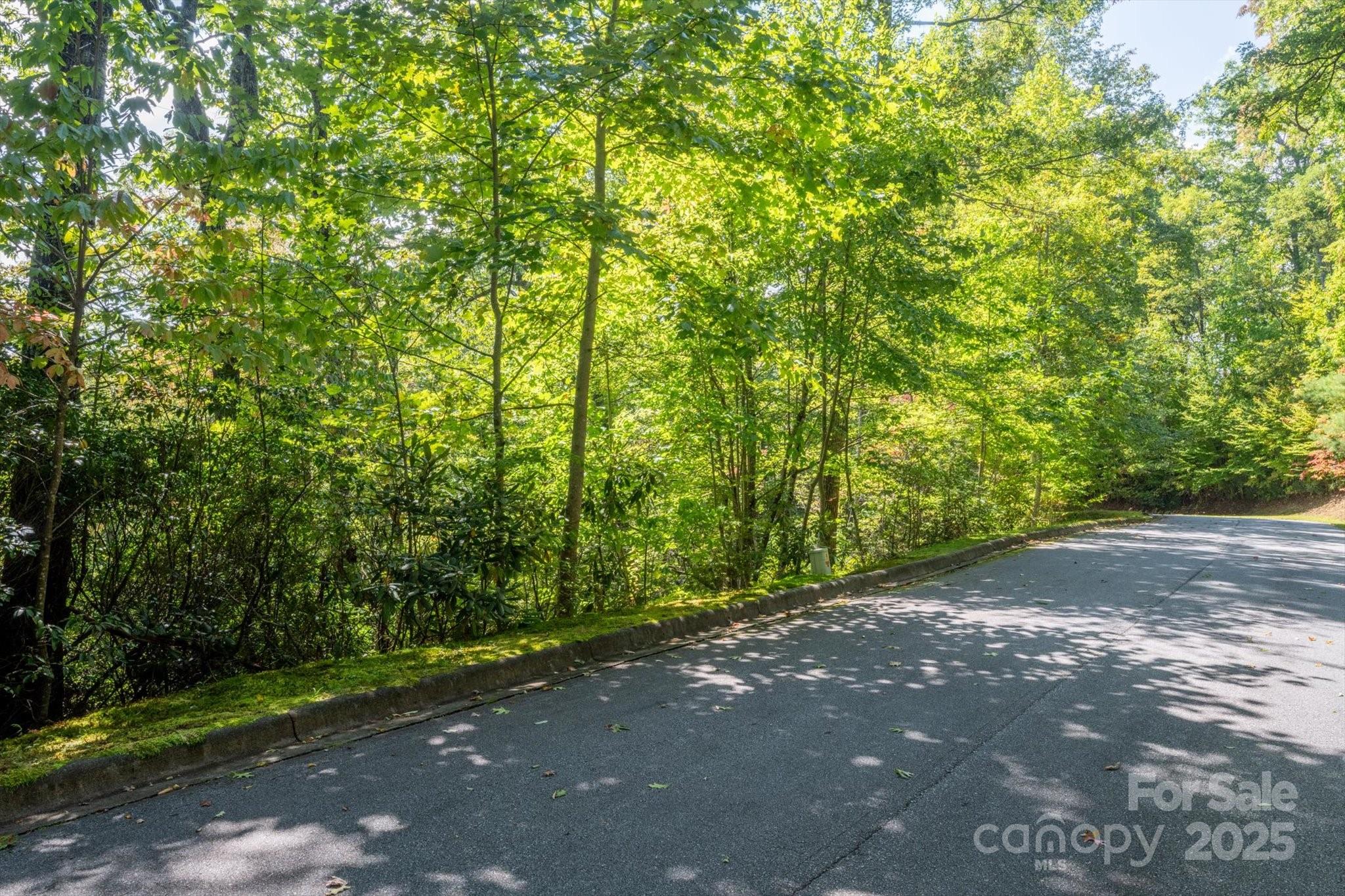 Tbd Pine Mountain Trail Brevard NC 28712
