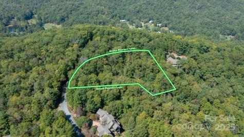 Tbd Pine Mountain Trail Brevard NC 28712
