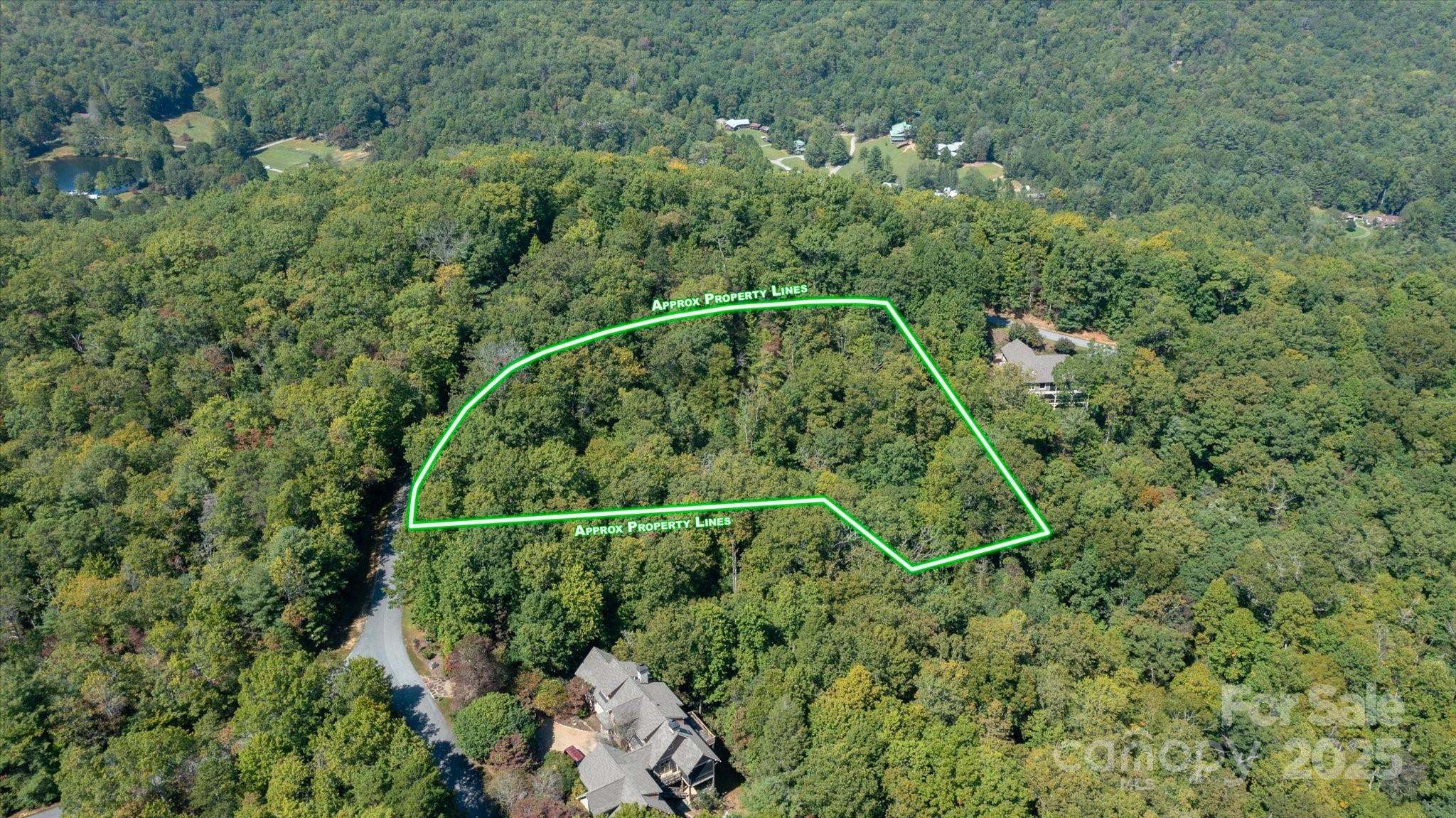 Tbd Pine Mountain Trail Brevard NC 28712