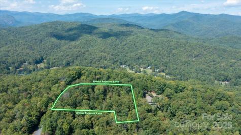 Tbd Pine Mountain Trail Brevard NC 28712