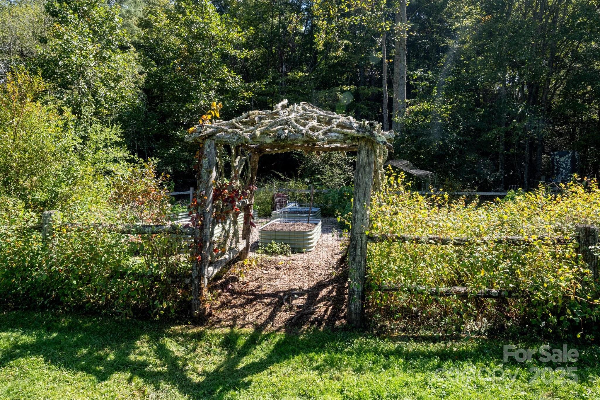 Tbd Pine Mountain Trail Brevard NC 28712