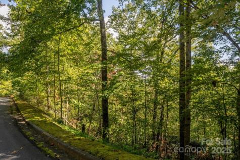 Tbd Pine Mountain Trail Brevard NC 28712