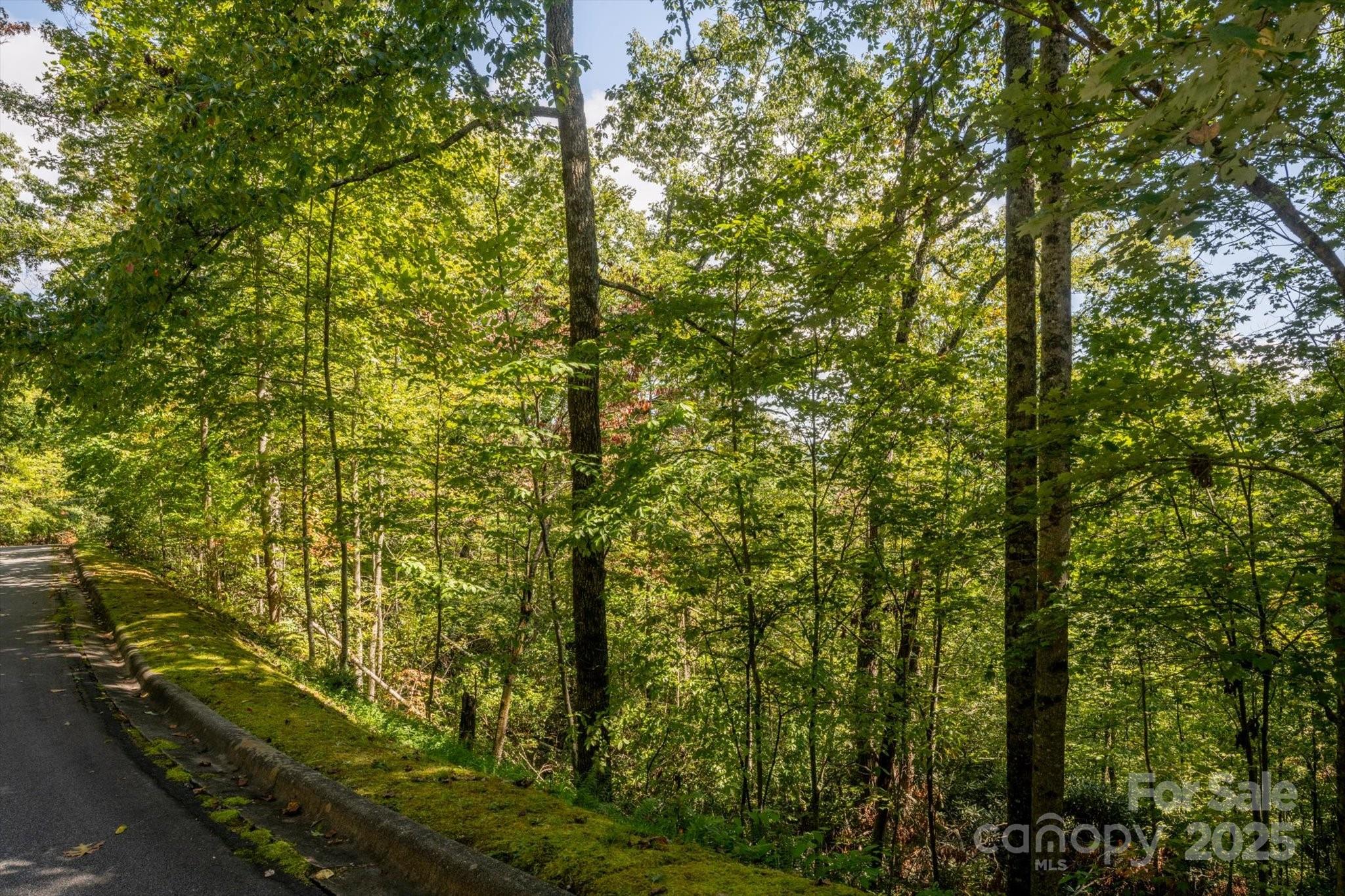 Tbd Pine Mountain Trail Brevard NC 28712