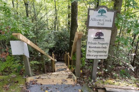 Tbd Pine Mountain Trail Brevard NC 28712