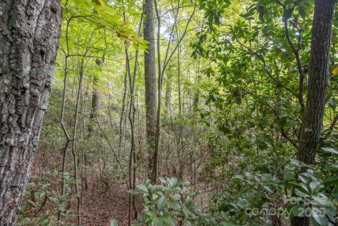Tbd Pine Mountain Trail Brevard NC 28712
