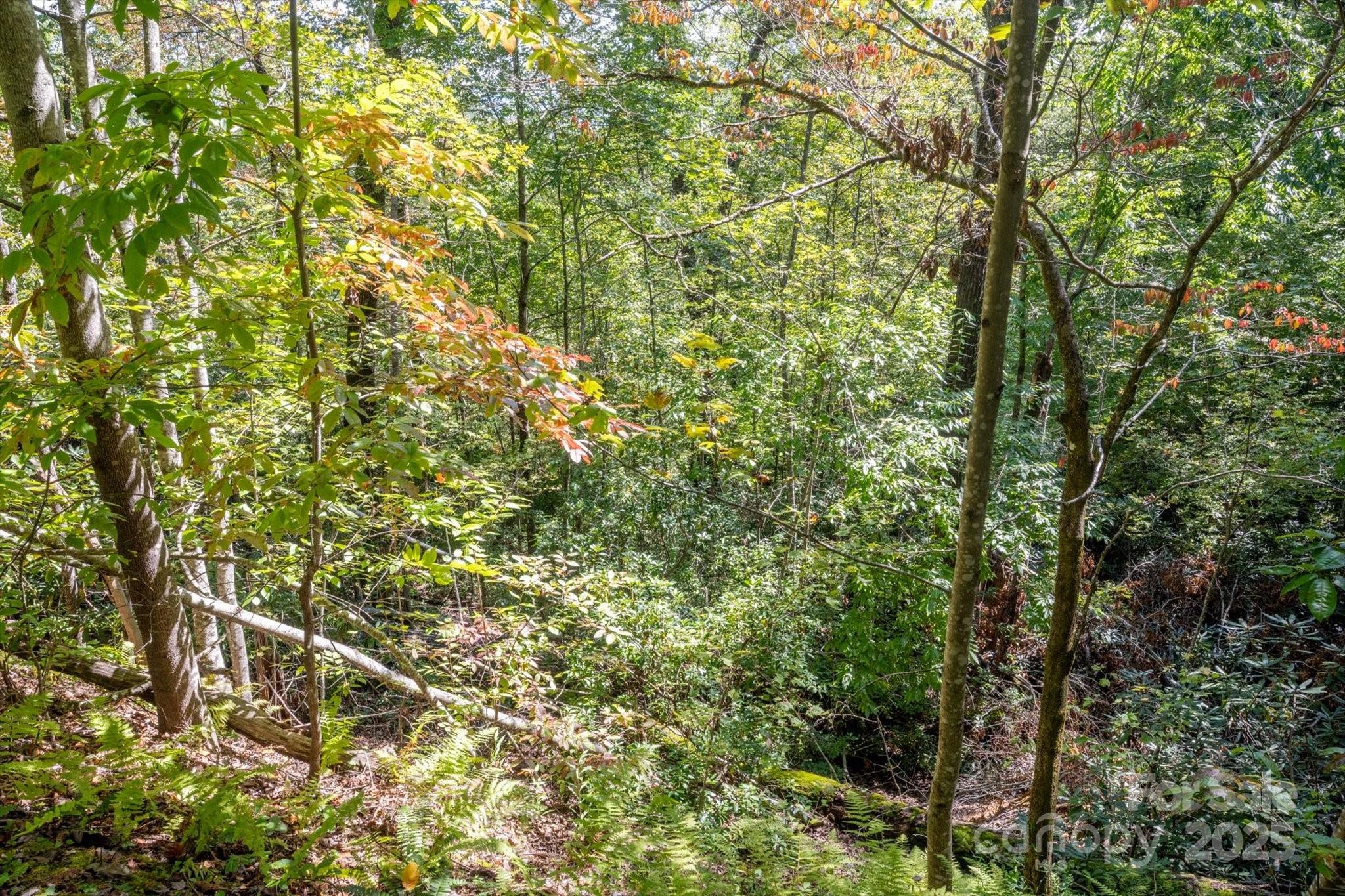 Tbd Pine Mountain Trail Brevard NC 28712