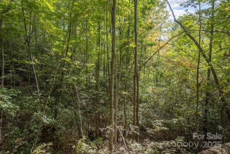 Tbd Pine Mountain Trail Brevard NC 28712
