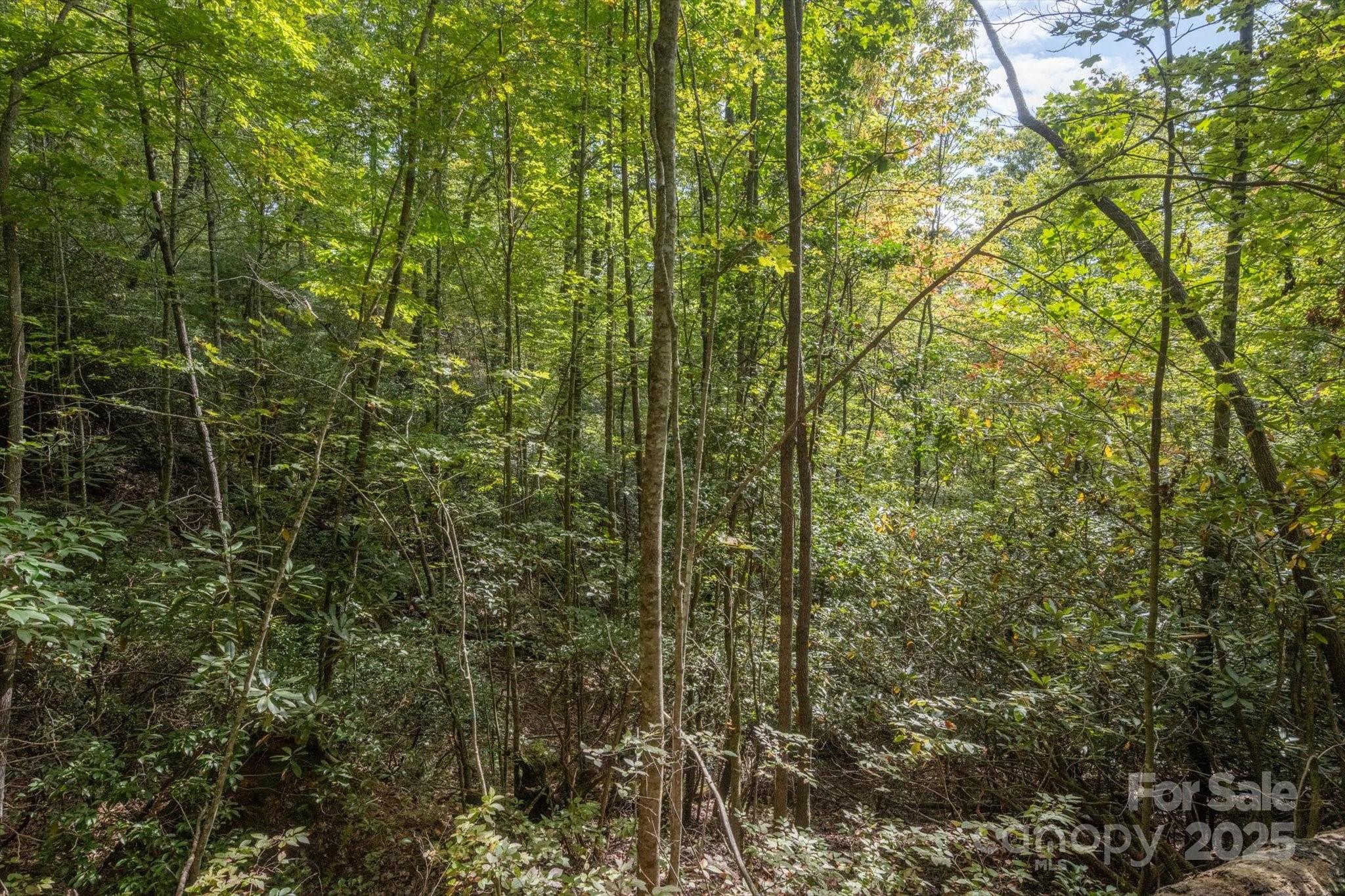 Tbd Pine Mountain Trail Brevard NC 28712