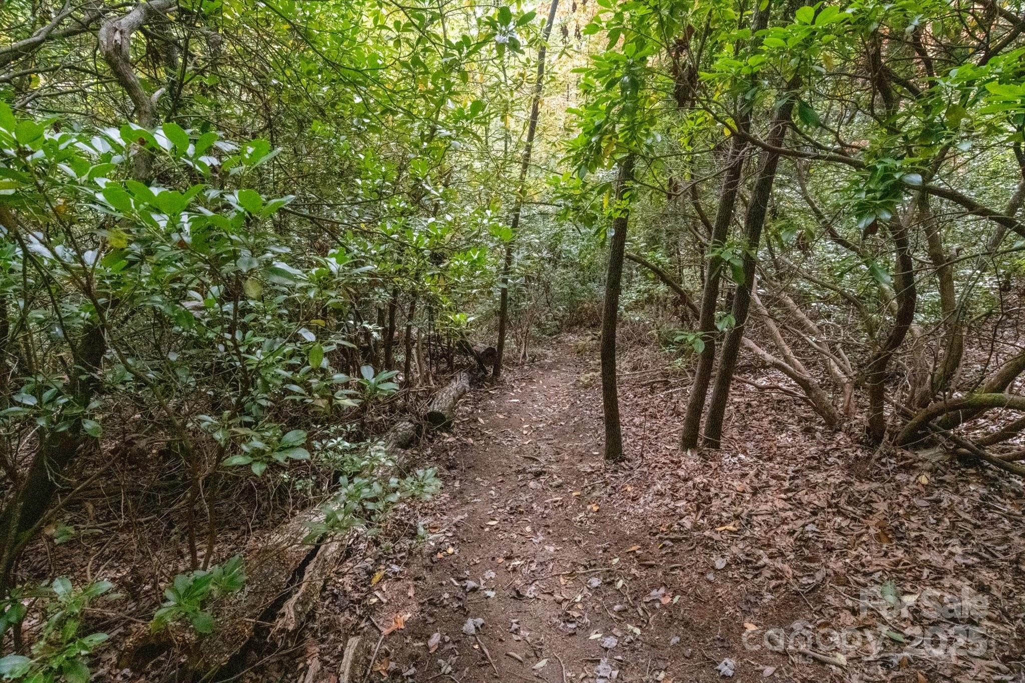 Tbd Pine Mountain Trail Brevard NC 28712