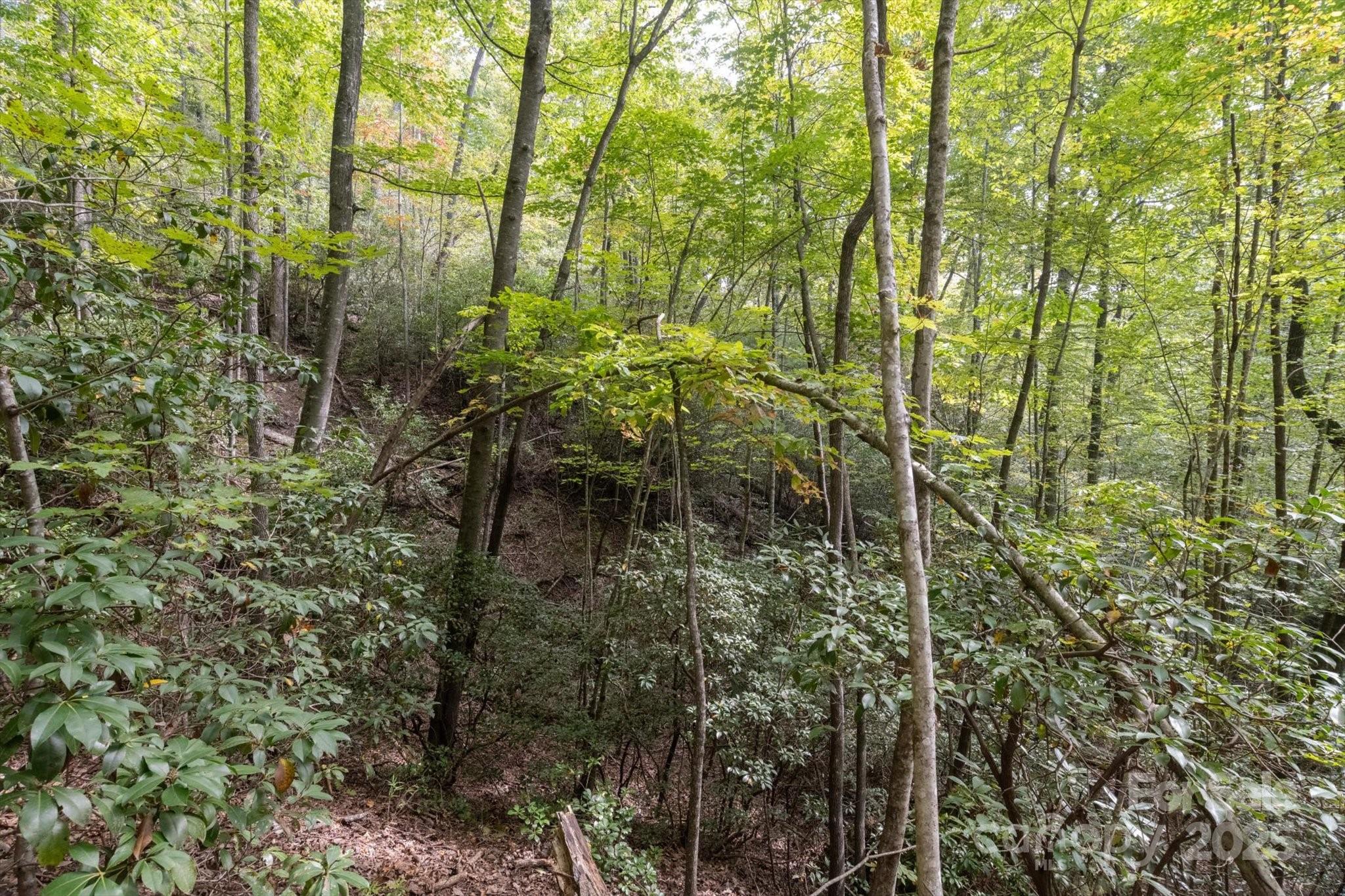 Tbd Pine Mountain Trail Brevard NC 28712