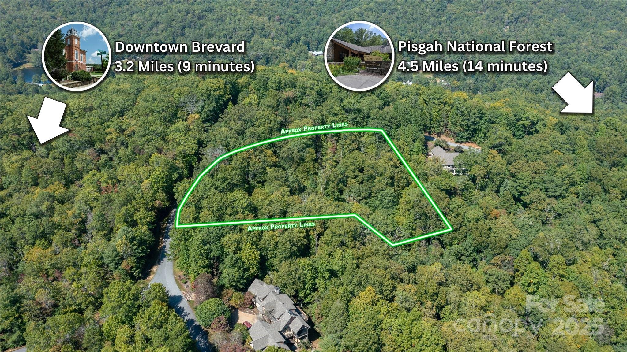 Tbd Pine Mountain Trail Brevard NC 28712