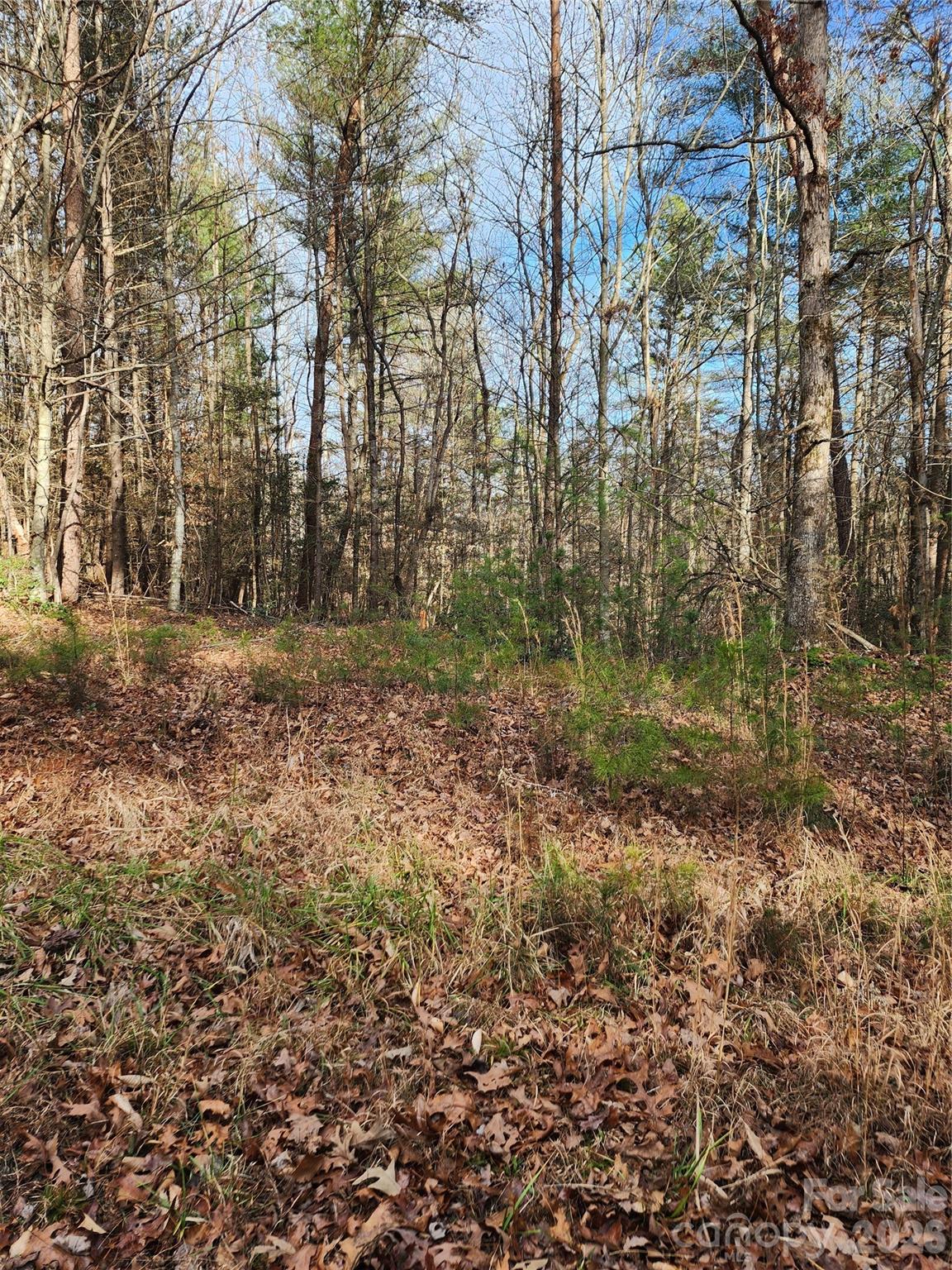0 Rainbow Trout Drive Hays NC 28635