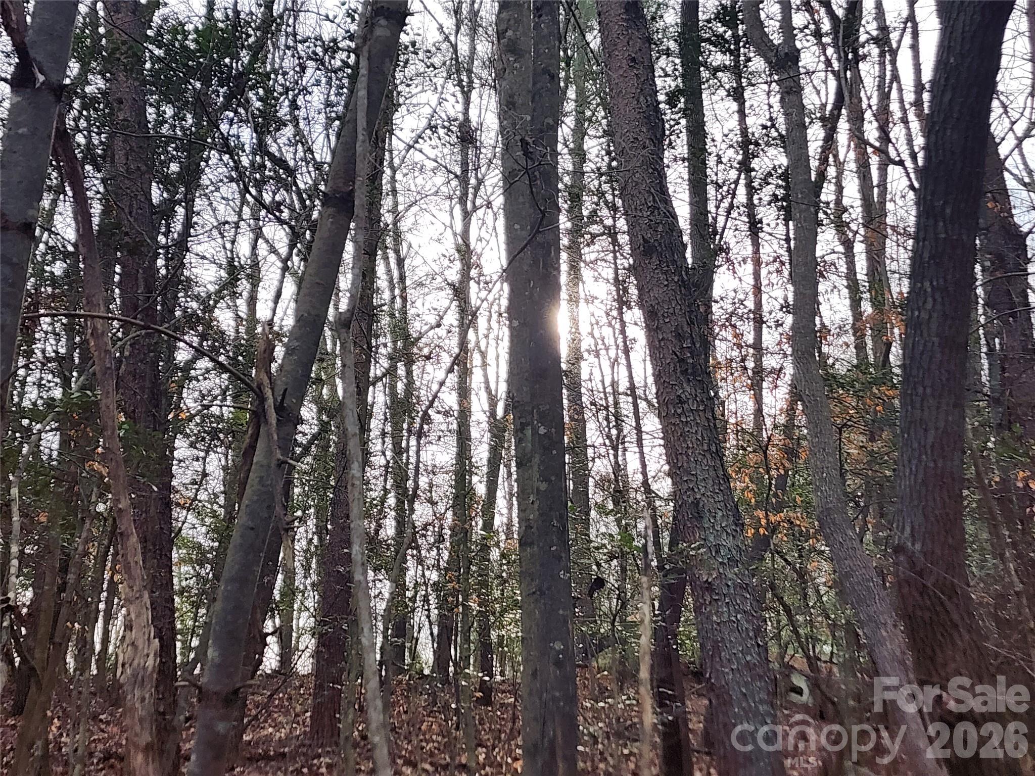 0 Rainbow Trout Drive Hays NC 28635