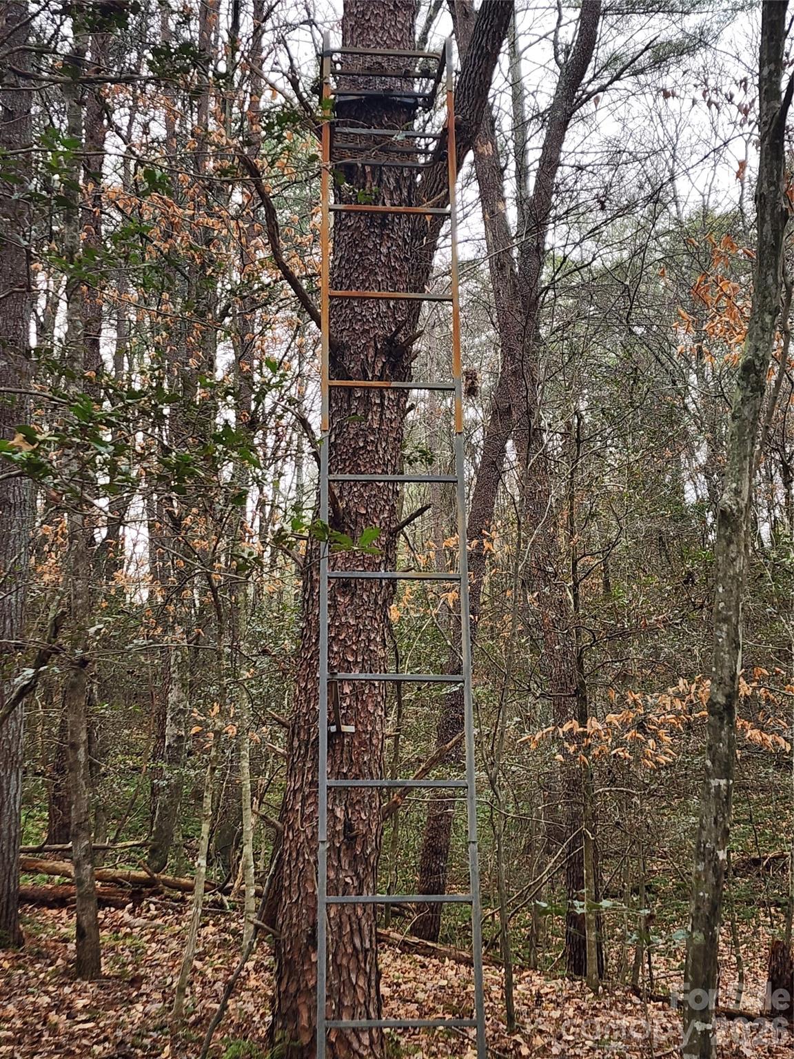 0 Rainbow Trout Drive Hays NC 28635