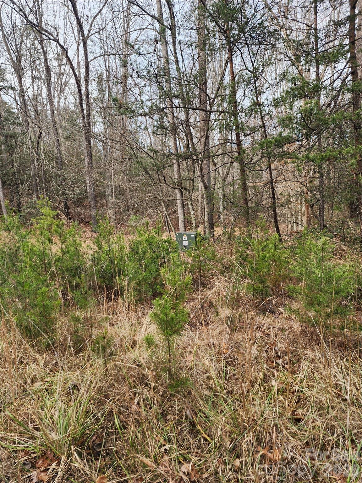 0 Rainbow Trout Drive Hays NC 28635