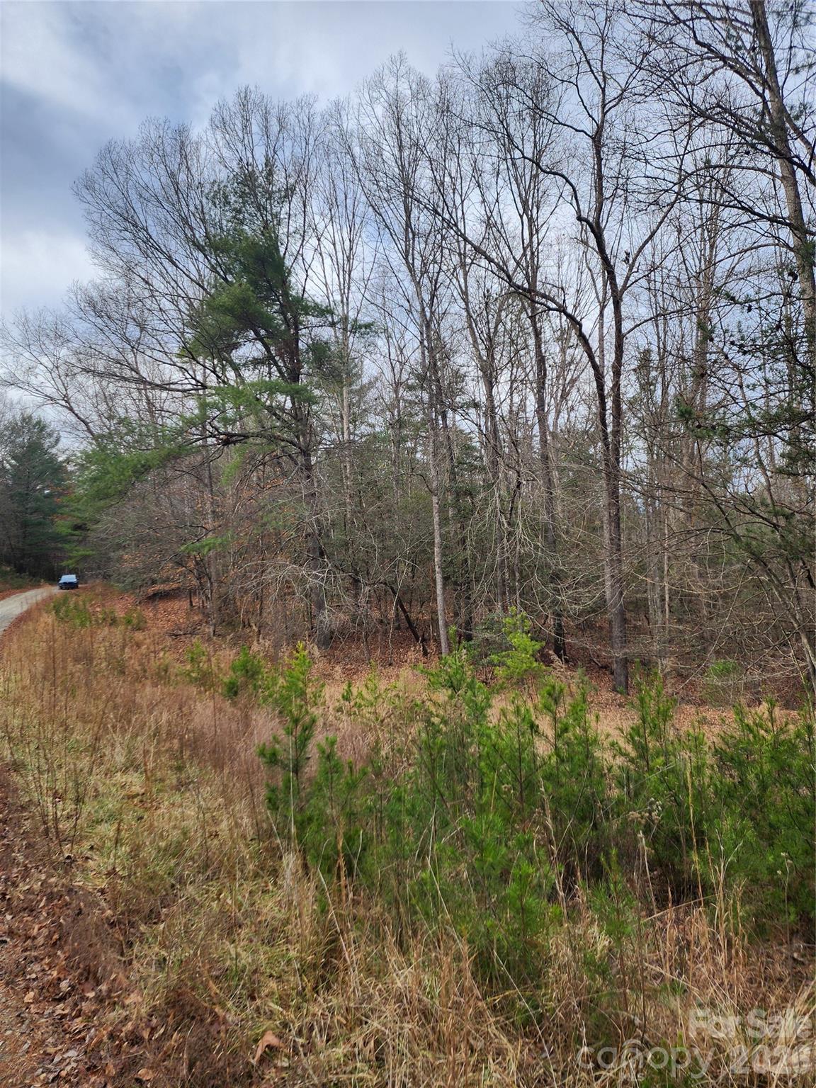 0 Rainbow Trout Drive Hays NC 28635