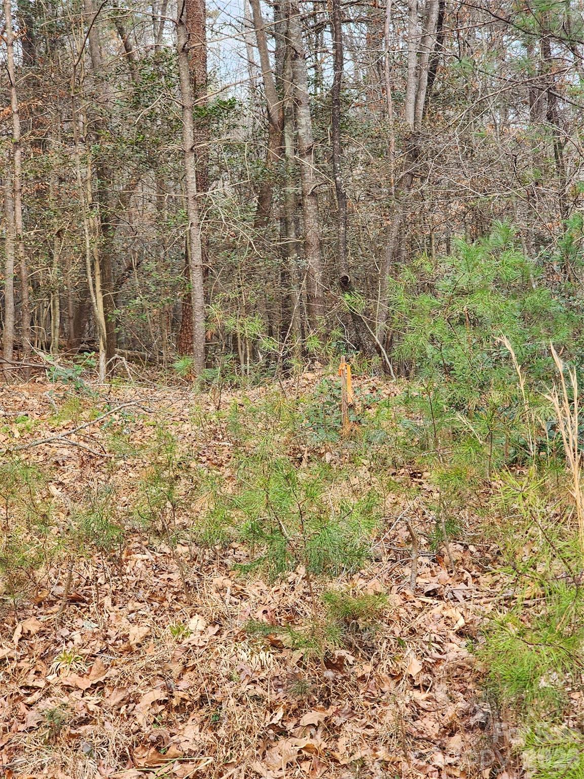 0 Rainbow Trout Drive Hays NC 28635