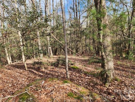0 Rainbow Trout Drive Hays NC 28635
