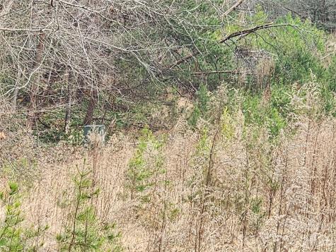 0 Rainbow Trout Drive Hays NC 28635