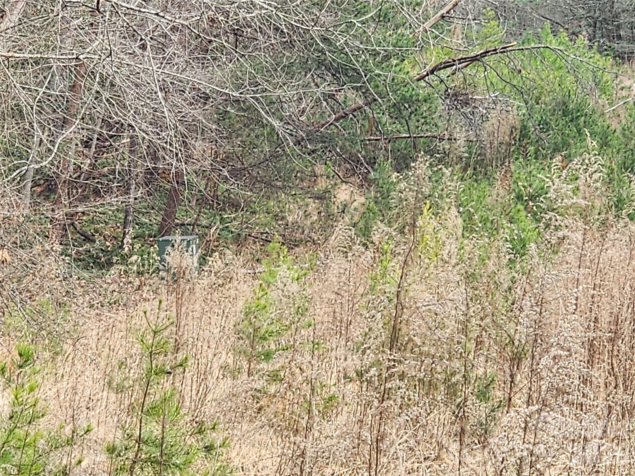 0 Rainbow Trout Drive Hays NC 28635