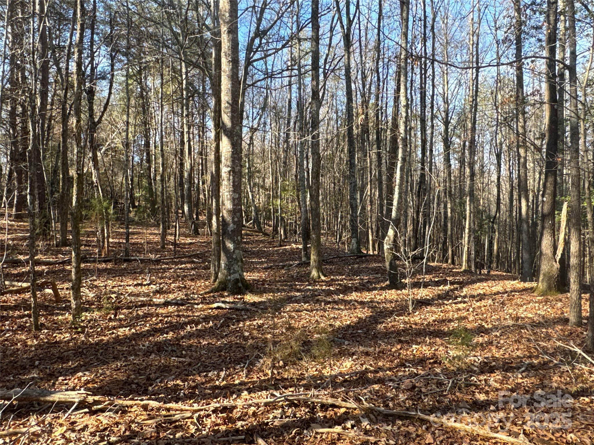 00 Ellis Ferry Road Shelby NC 28152
