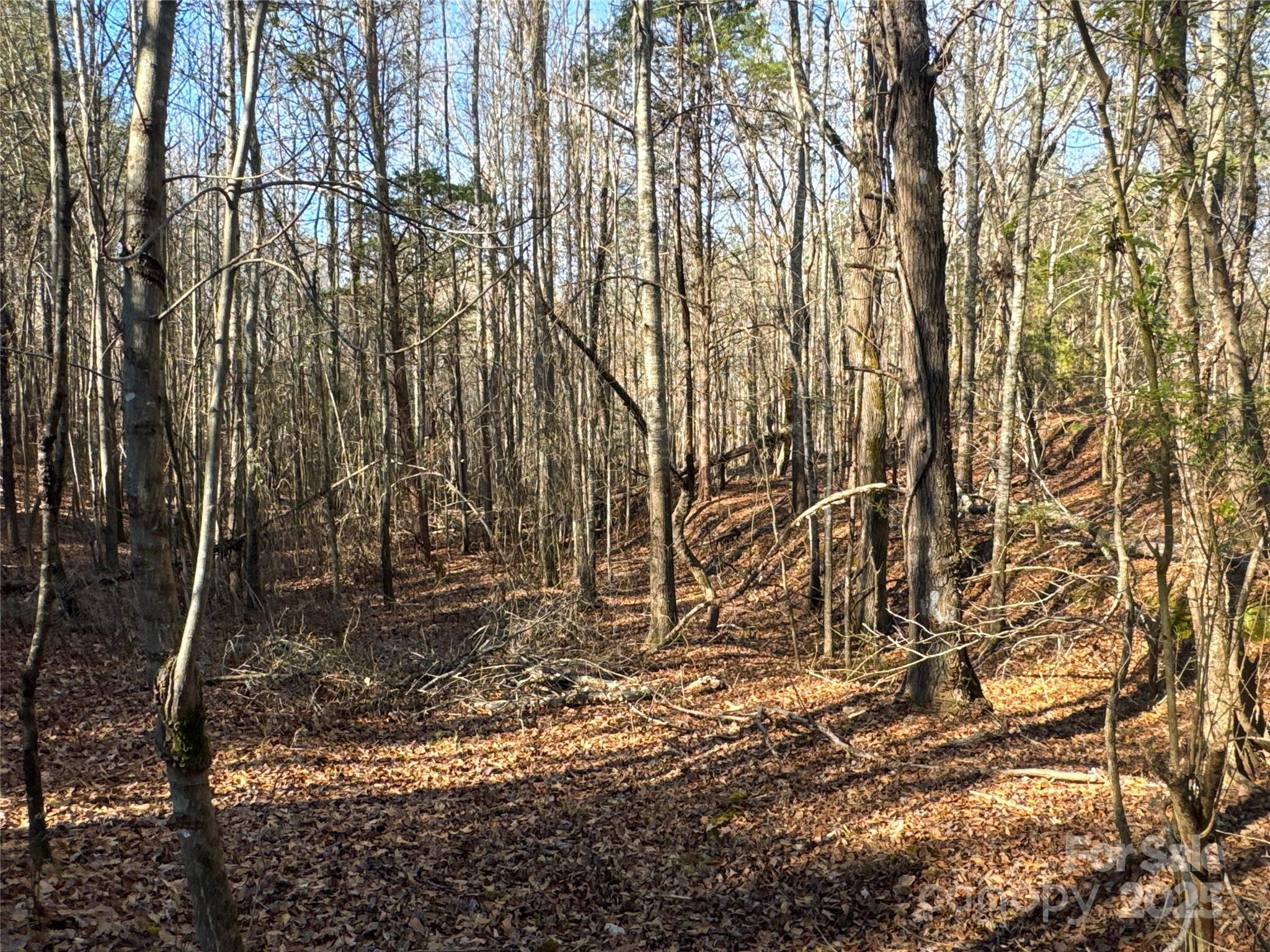 00 Ellis Ferry Road Shelby NC 28152