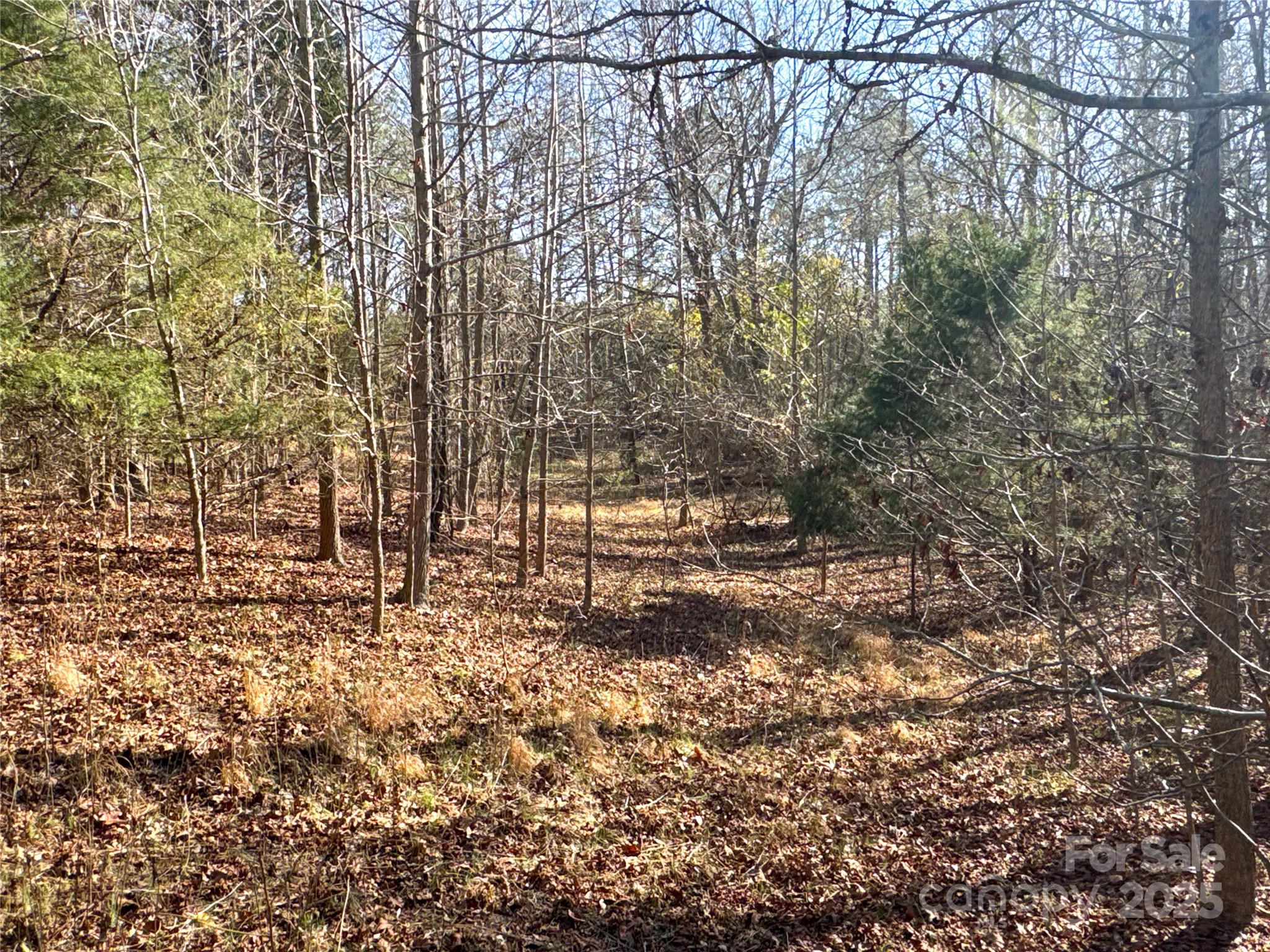 00 Ellis Ferry Road Shelby NC 28152