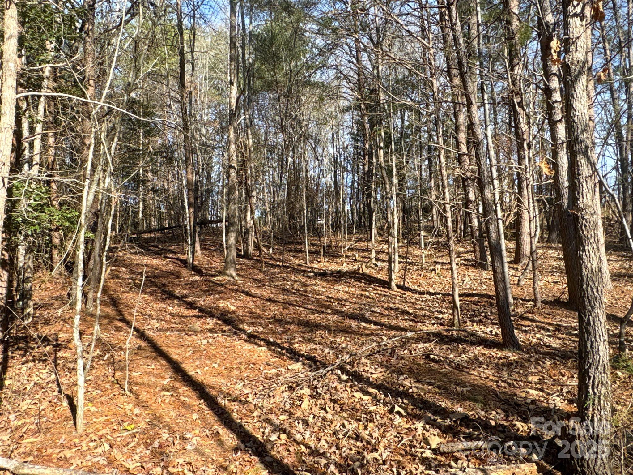 00 Ellis Ferry Road Shelby NC 28152