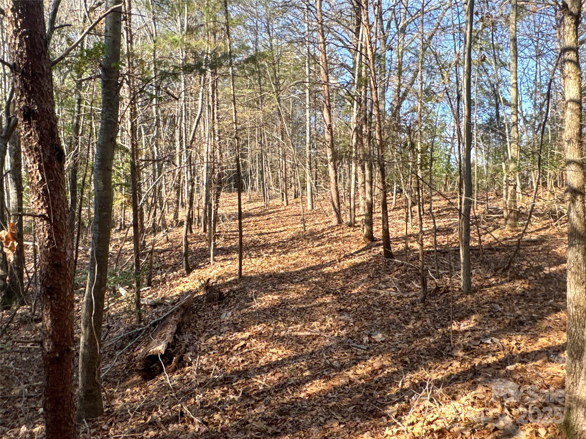 00 Ellis Ferry Road Shelby NC 28152