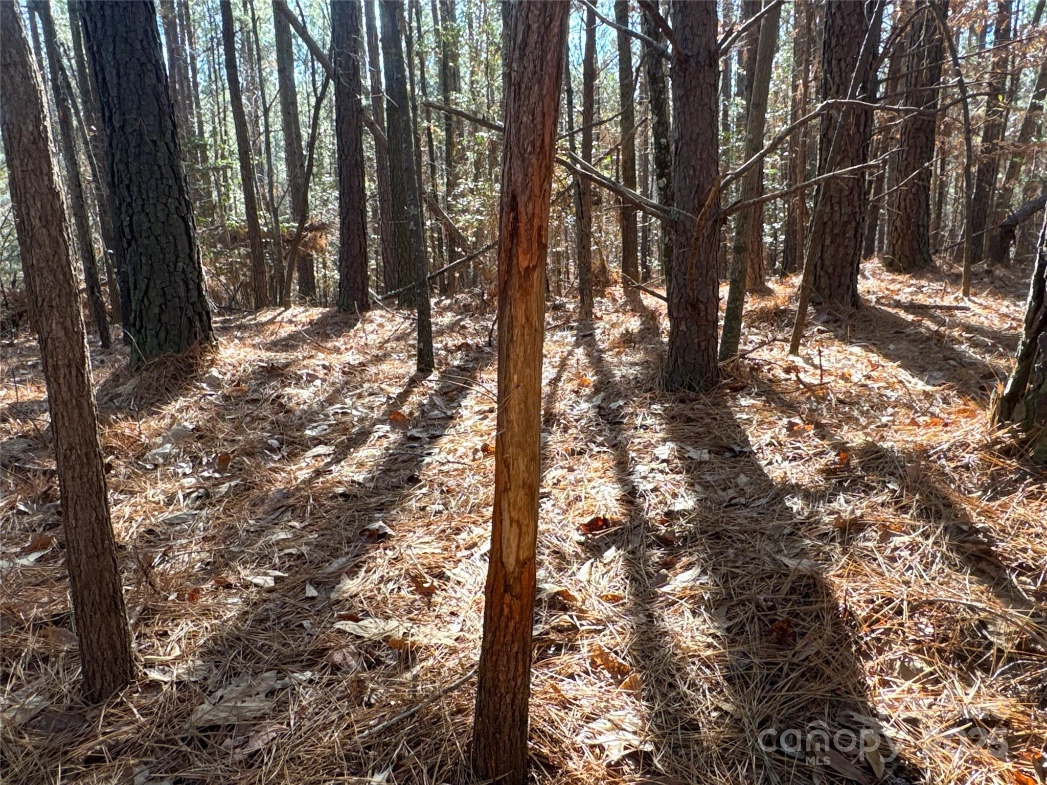00 Ellis Ferry Road Shelby NC 28152