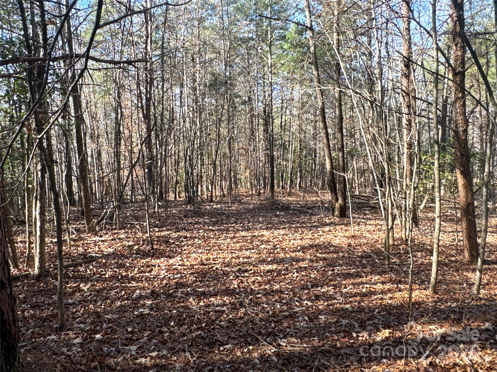 00 Ellis Ferry Road Shelby NC 28152