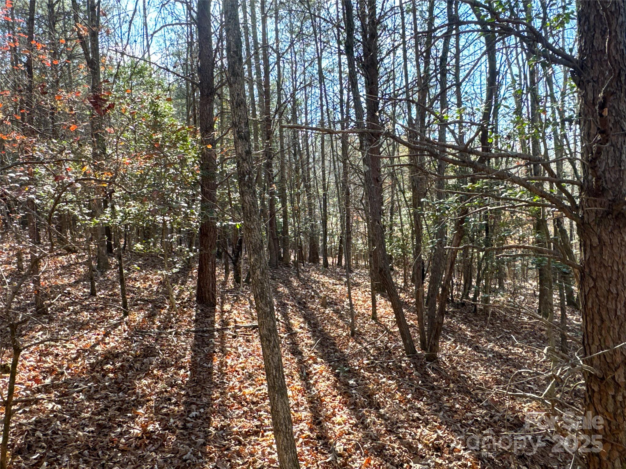 00 Ellis Ferry Road Shelby NC 28152