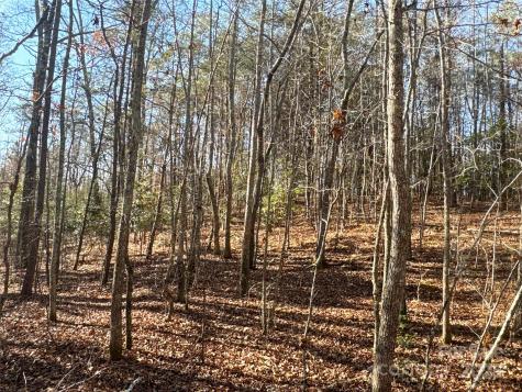 00 Ellis Ferry Road Shelby NC 28152