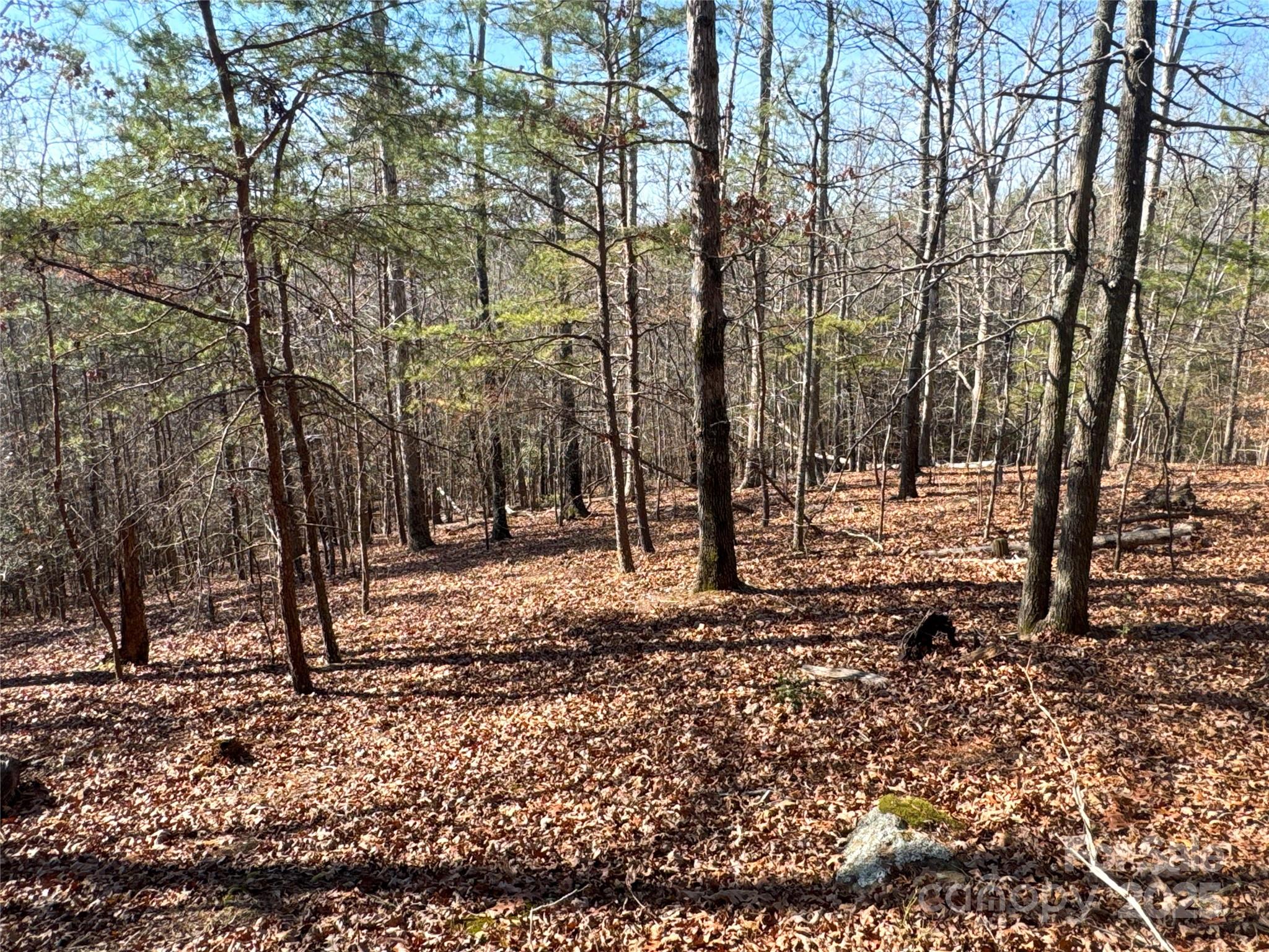 00 Ellis Ferry Road Shelby NC 28152