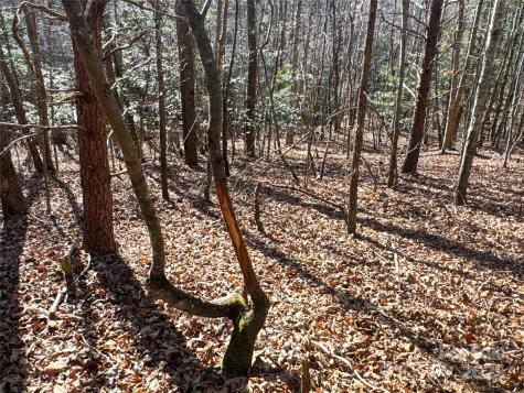 00 Ellis Ferry Road Shelby NC 28152
