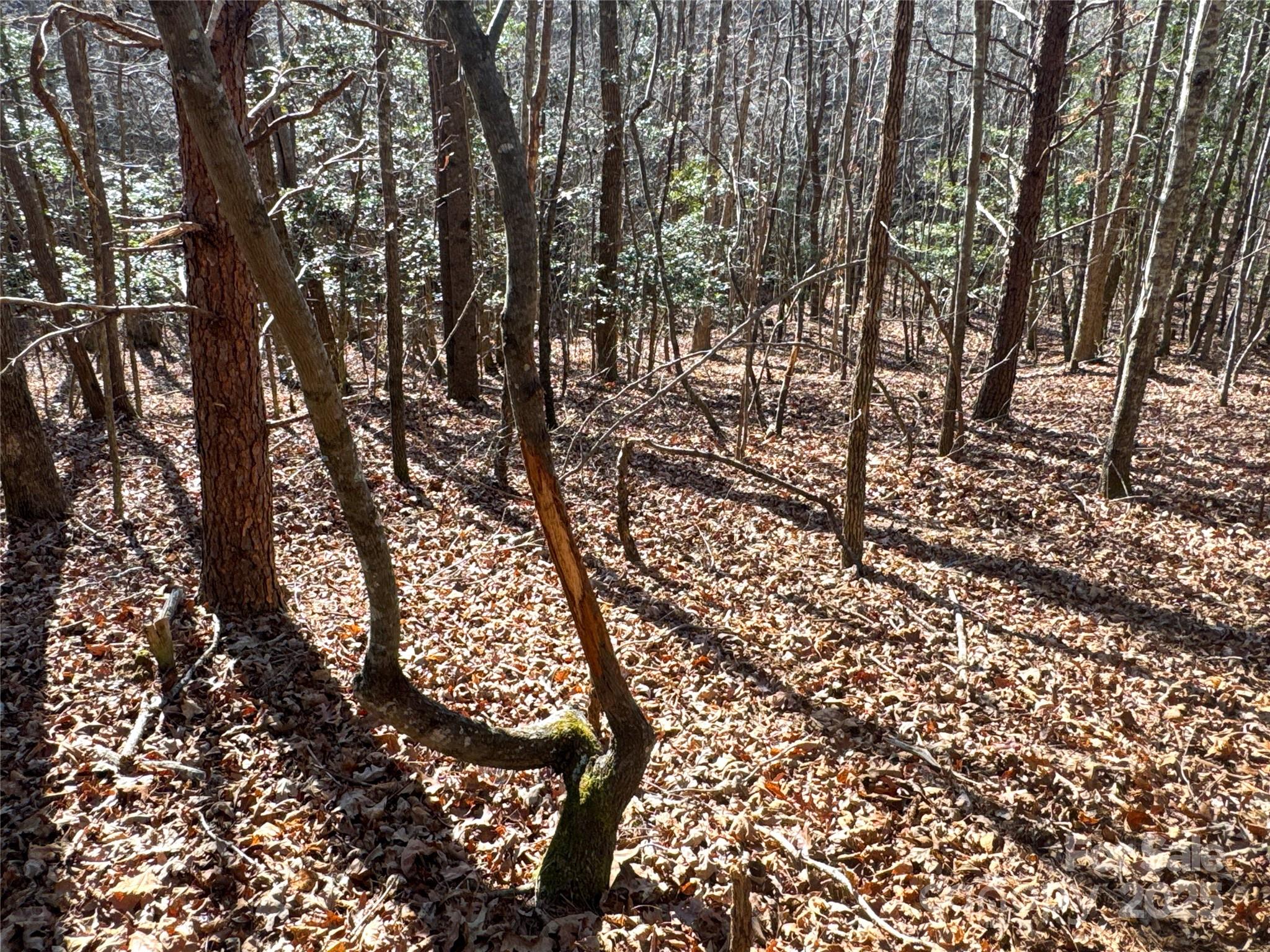 00 Ellis Ferry Road Shelby NC 28152