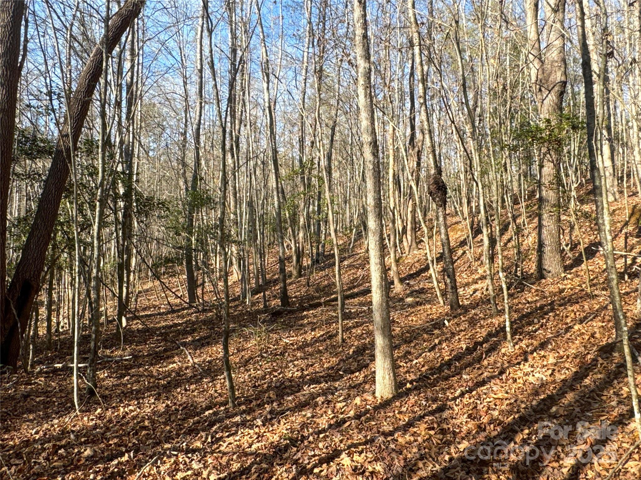 00 Ellis Ferry Road Shelby NC 28152