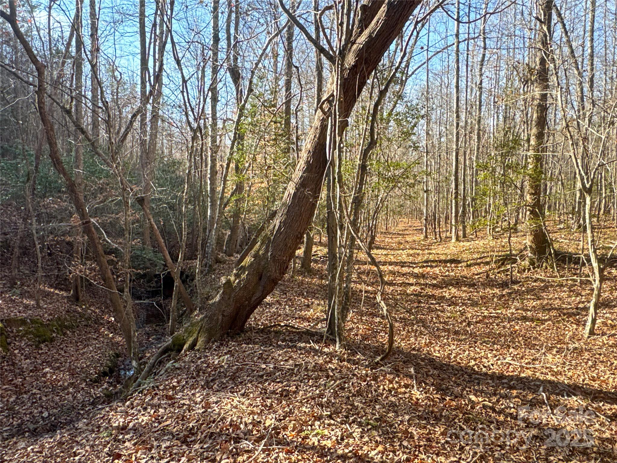 00 Ellis Ferry Road Shelby NC 28152