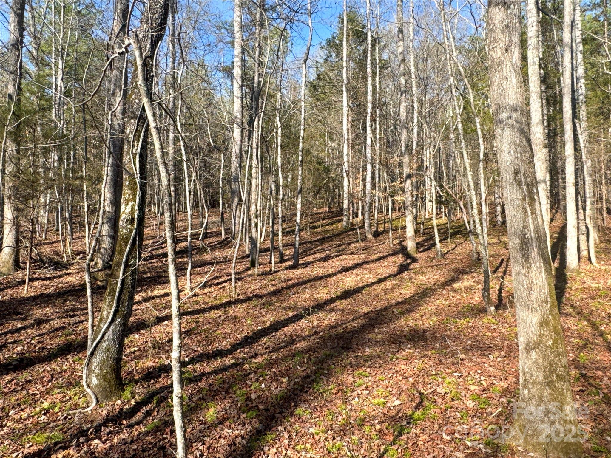 00 Ellis Ferry Road Shelby NC 28152