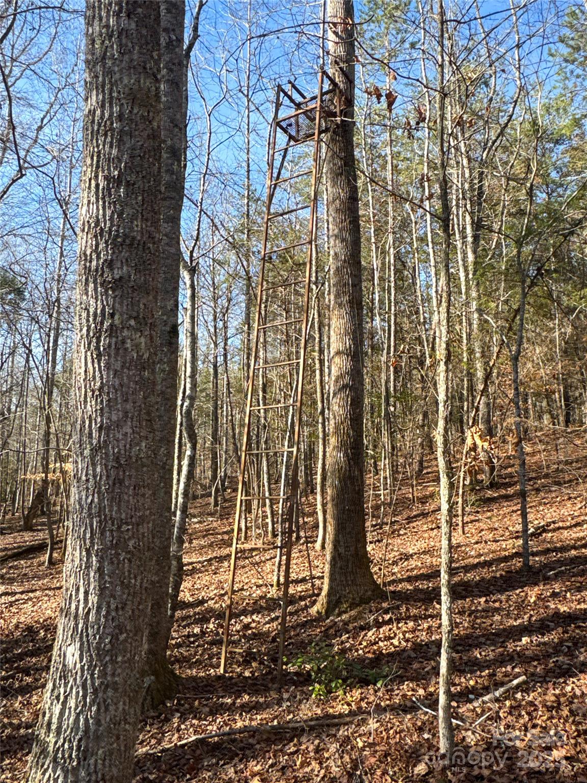 00 Ellis Ferry Road Shelby NC 28152