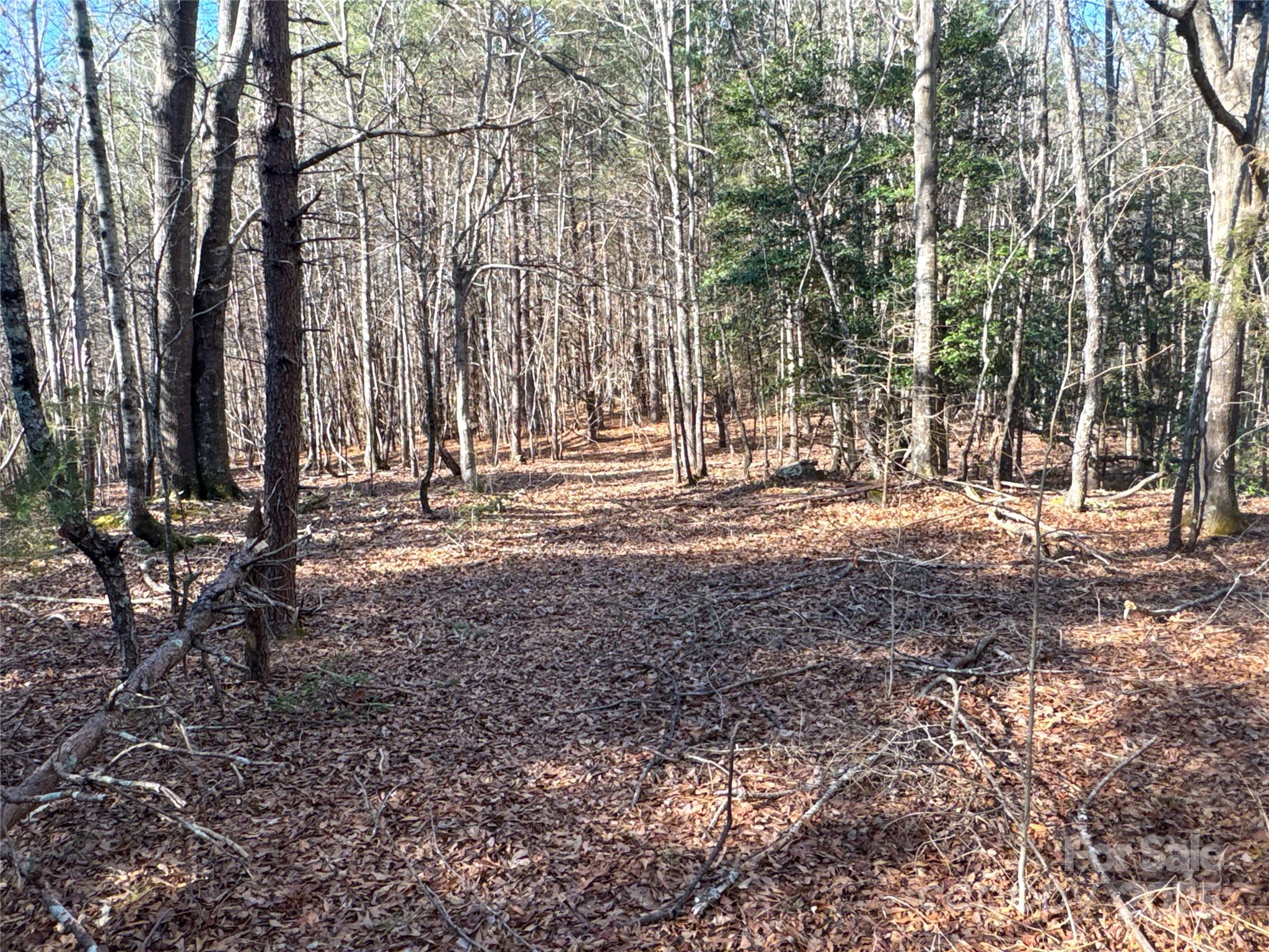 00 Ellis Ferry Road Shelby NC 28152